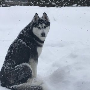 Meet your Posher, Sonia